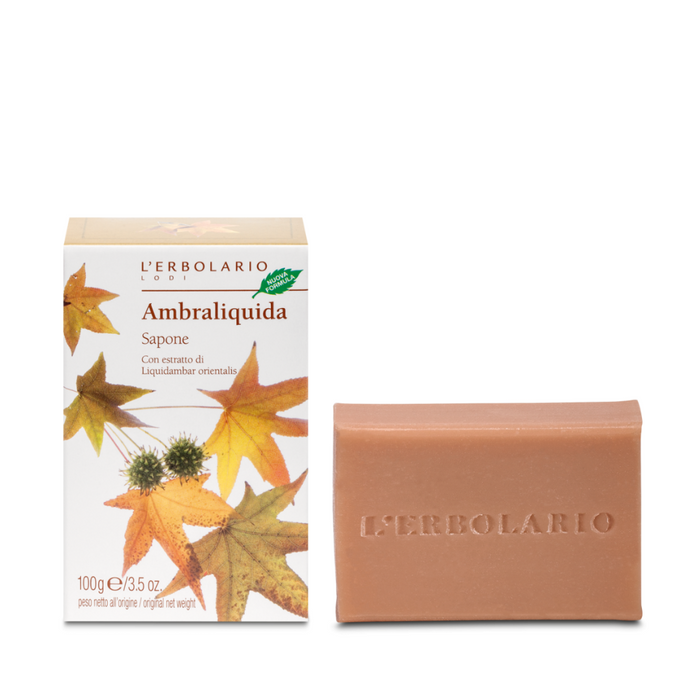 Sapone Ambraliquida