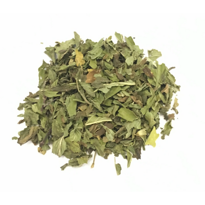 Menta Piperita