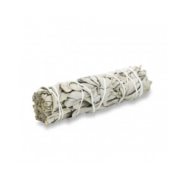 Mazzetto Di Salvia Bianca Per Smudging