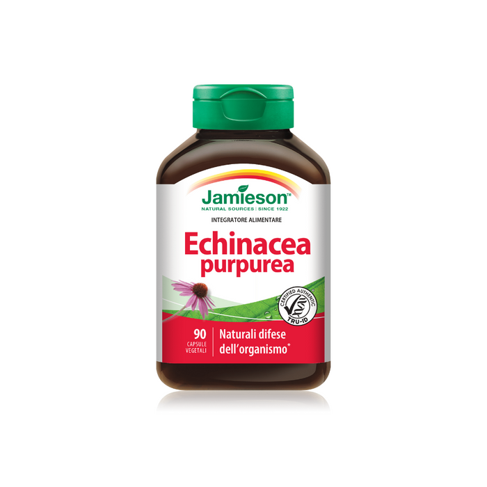 Echinacea Purpurea