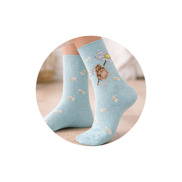 Calzini Donna - Topino