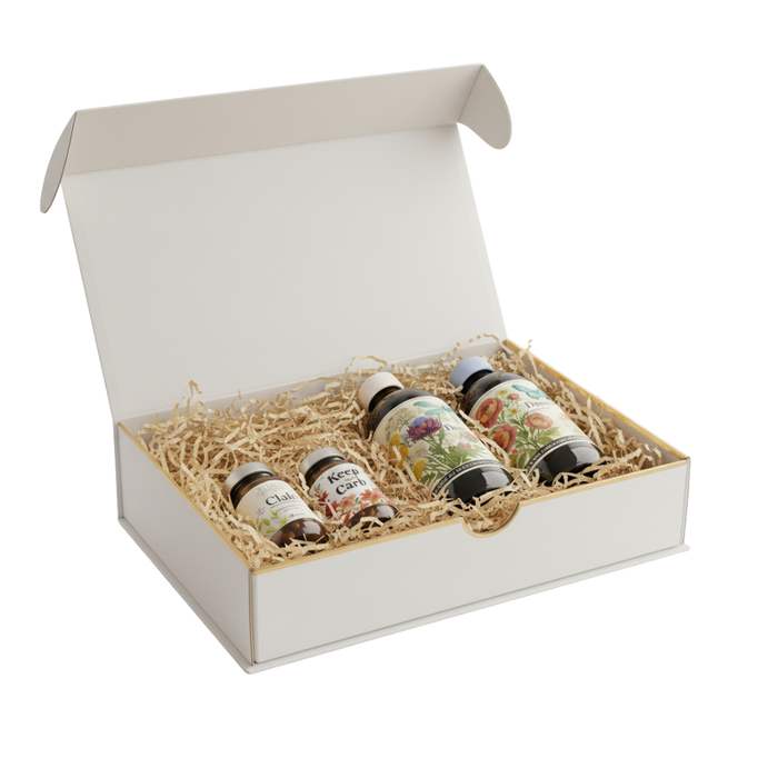 Box Zenzero&Cannella