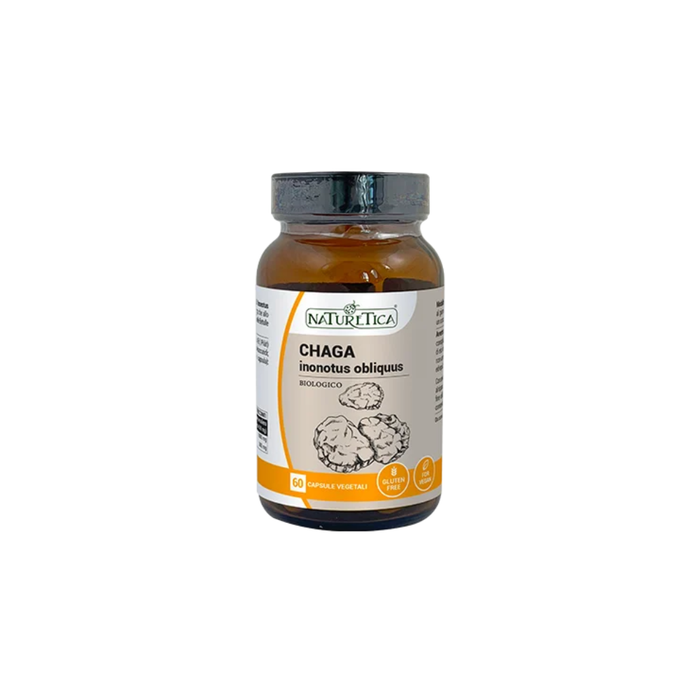 CHAGA INONOTUS OBLIQUUS